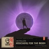 Reaching for the Moon - Single