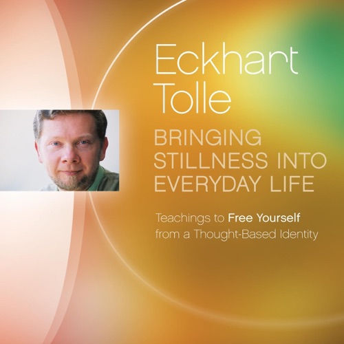 Bringing Stillness into Everyday Life: Teachings to Free Yourself from a Thought-Based Identity (Unabridged) cover