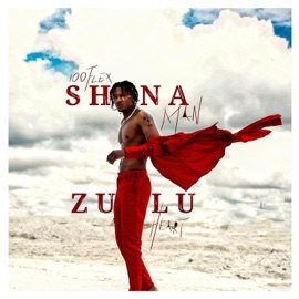 I don't know (feat. Crooger & Bagga) 100flex