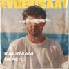 Kalkmam Gerek - Single