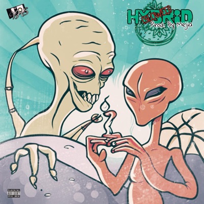 HYBRiD (Slowed) - Single