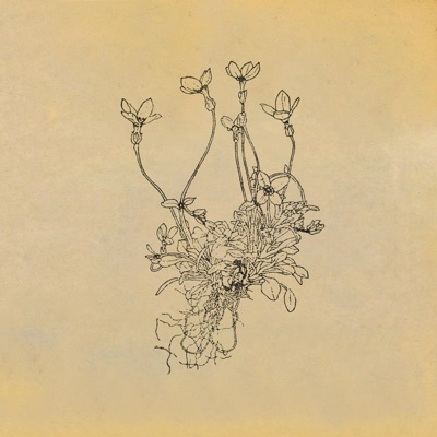 Copse - Single