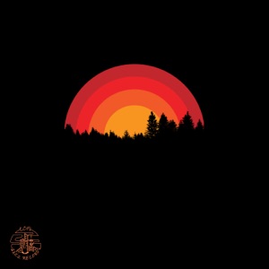 Crazy - Single