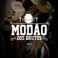 AMO ATÉ SEUS DEFEITOS