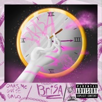 Brisa (feat. Galo MC & MC Gui JR) - Single - Oaks