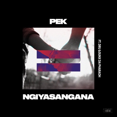 Ngiyasangana (feat. Dru Tanka & GunxdaPharoah) - Single