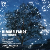 Bach & Telemann: Himmelfahrt artwork