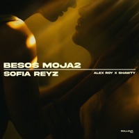 Besos Moja2 (Acoustic) - Single - Sofia Reyz, Alex Roy & Shawty Music