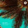 Hollistic - Tell Me What You Want (Extended Mix)