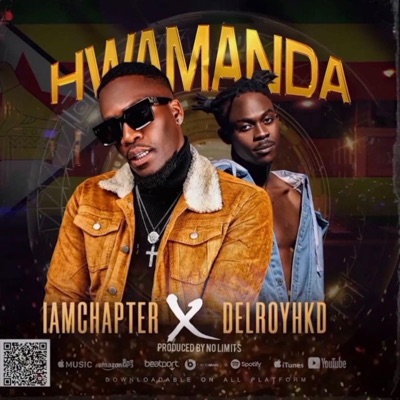 Hwamanda (feat. Delroy HKD) - Single