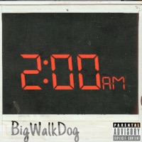 2Am - Single - BigWalkDog