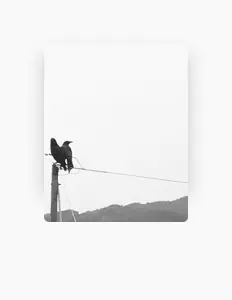 Ouve 樂, vê vídeos de música, lê a biografia, vê as datas da digressão e muito mais!