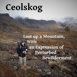 Spring Storm (feat. Skeptik) Ceolskog