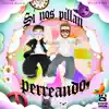 Stream & download Si Nos Pillan Perreando - Single