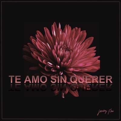 Te Amo Sin Querer (feat. G Randy) - Single