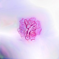 4Ever - Single - Baku, lileffort & Deko