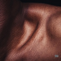Cocoa Butter Dreams - Single - Ylusive