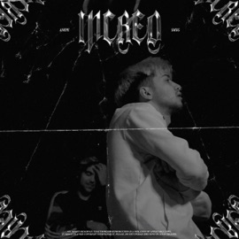 INCRED (feat. smxg) anepe