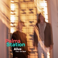 Alive (feat. Torii Wolf) - Single - Palms Station