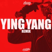 Yin Yang RMX (feat. NJ Enyei, Flexxxboy & Damian SNK) - Single - Akup