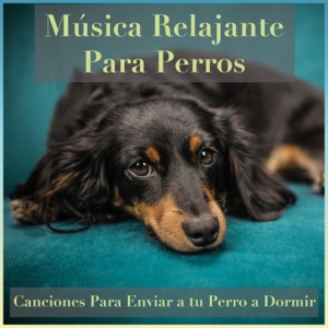 Música Relajante para Perros: Canciones para Enviar a Tu Perro a Dormir