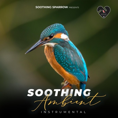 Soothing Sparrow - Cogitative