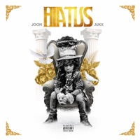 Hiatus - Joon Jukx