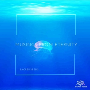 Musings From Eternity - EP