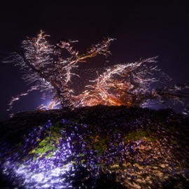 Province BRILLIANT GOD & Otchê