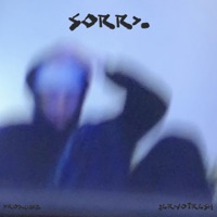 Sorry (feat. prod.Luke) - Single - jarnotrash