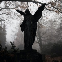 Agony - Single - Fix