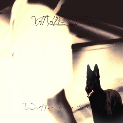Wait For Me In the End - EP