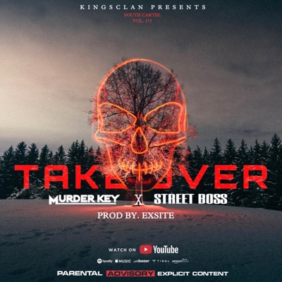 Take Over (feat. Street boss) - Single