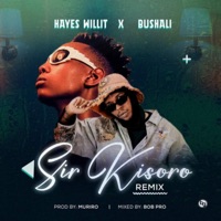 Sir kisoro (feat. Bushali) [Remix] - Single - hayes willit