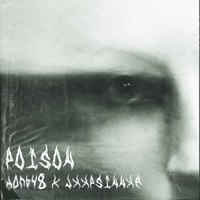 Poison - Single - Ноль48 & JXXPSINNXR