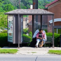 I Hate Love Songs! - Single - Seth Witcher