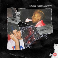 Dark Side Down (feat. J. Molley) - Single - PatricKxxLee