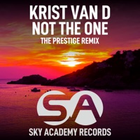 Not the One (The Prestige Remix) - Single - Krist Van D