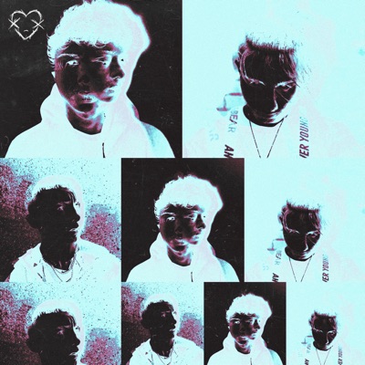 Hideout (feat. BVDLVD, HEN$HAW & V.RI) - Single