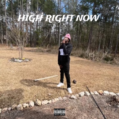High Right Now (feat. Dr3ad) - Single