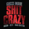 Shit Crazy