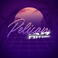 Pélican - Single - HMZ