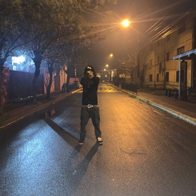 Llegando al pary - Single
