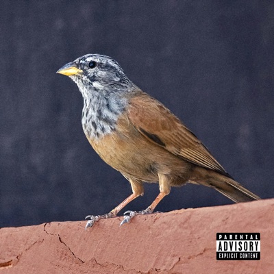 Nessyou Officiel - Trauma