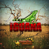 La iguana song art