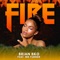 Fire (feat. Mr. Turner) - Brian Bko lyrics