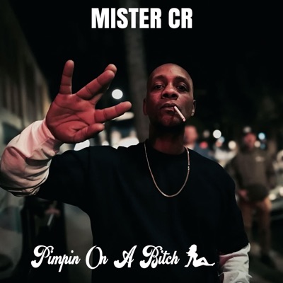 Pimpin On a Bitch - Single