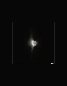 Luister naar Michiel Strategier, bekijk muziekvideo's, lees de bio, bekijk de tourdata, en meer!