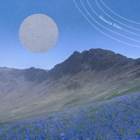 Blossom Blues - Single - Mr. Jello, Mr. Hong & Stuffed Tomato