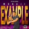 Example (feat. TreyCan Recordz) - Wonaji lyrics